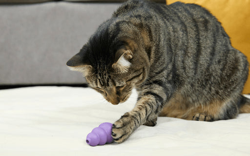 CAT TOYS