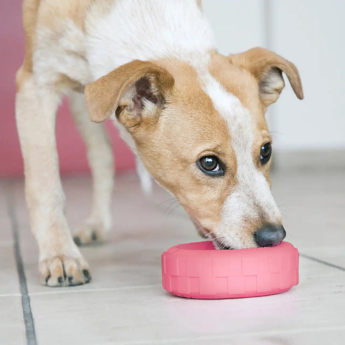 KONG Puppy Tires Pink