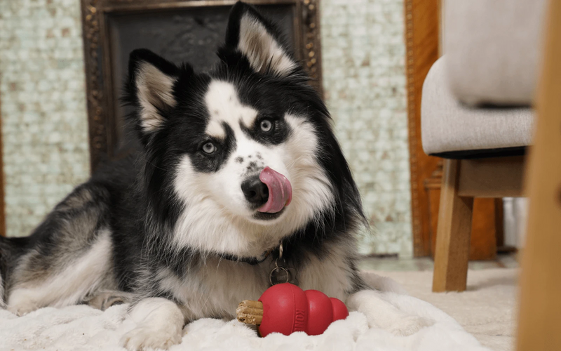 TREATS
