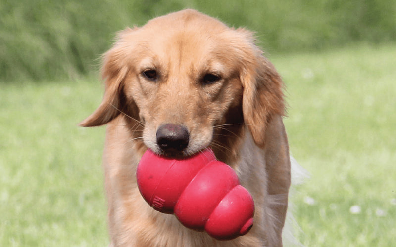 DOG TOYS